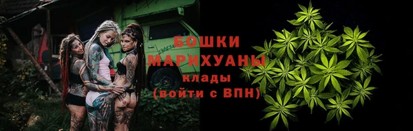 шишки Остров