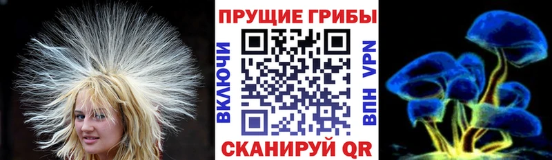 купить   Балашиха  Псилоцибиновые грибы GOLDEN TEACHER 