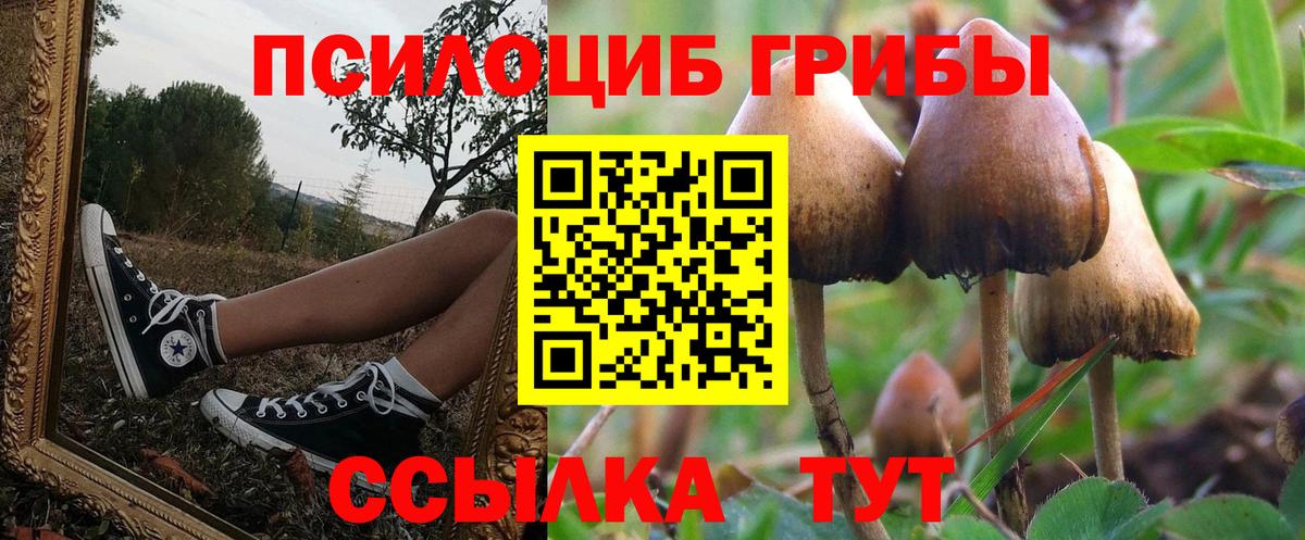 Галлюциногенные грибы MAGIC MUSHROOMS  Вход с VPN  Балашиха 