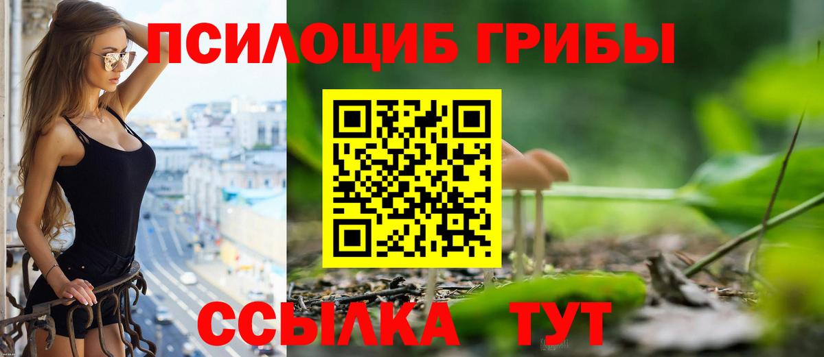 Псилоцибиновые грибы GOLDEN TEACHER  Балашиха  наркошоп  Галлюциногенные грибы GOLDEN TEACHER 